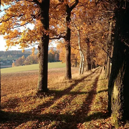 Ratskeller 3*