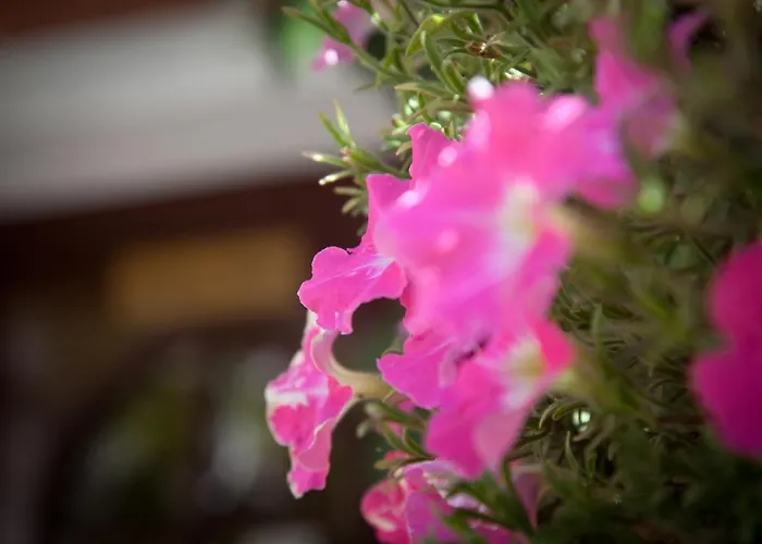 Гостевой дом Ratskeller